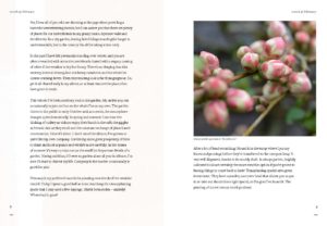 Diary of Modern Country Gardener Internal Spread 1