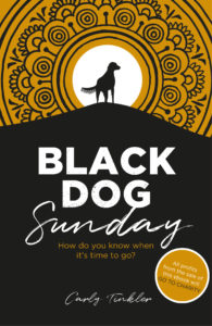 Black Dog Sunday a novel cover image